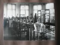 Prenten Adlib\P11623-18.jpg; P11623-01; Foto in albumPhoto in album; Fotoalbum opening Ned. Historisch Natuurwetenschappelijk MuseumFotoalbum opening Ned. Historisch Natuurwetenschappelijk Museum